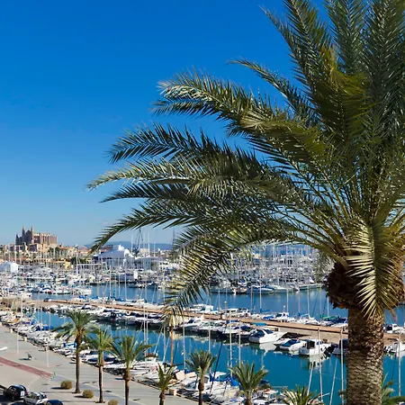 فندق Mirador ميورقة